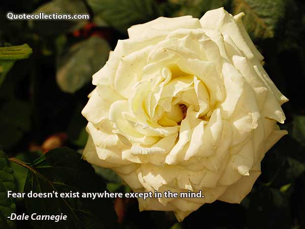 Dale Carnegie Quotes5